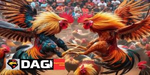 Cách Nhận Biết Trang Đá Gà Lừa Đảo