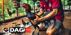 Kinh Nghiệm Chơi Đá Gà Trực Tiếp Dễ Thắng Từ Cao Thủ