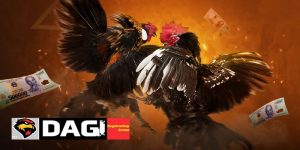 Luật Chơi Đá Gà Thomo