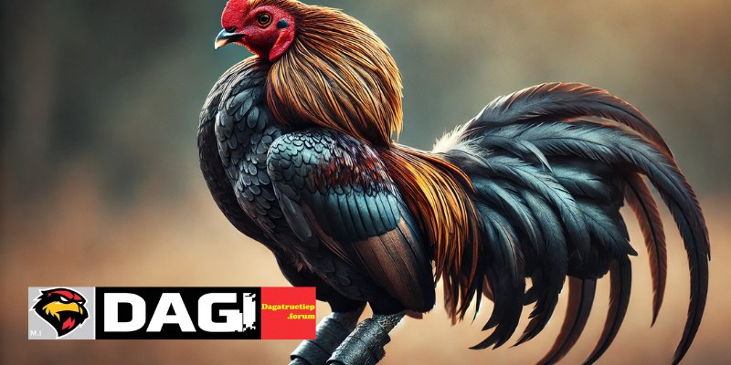 Top 5 Trang Đá Gà Trực Tiếp Uy Tín